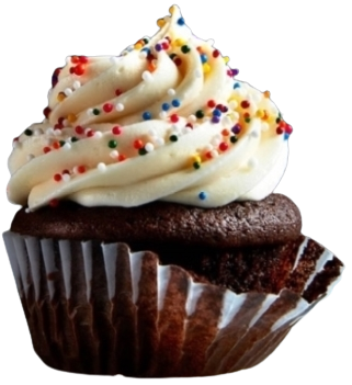 Chocolate Vanilla Cupcake