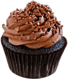 Double Chocolate Cupcake